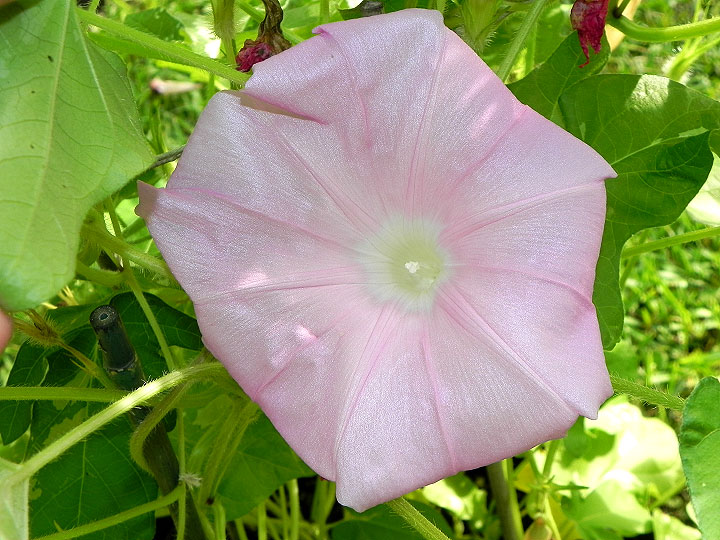 DSCN4474