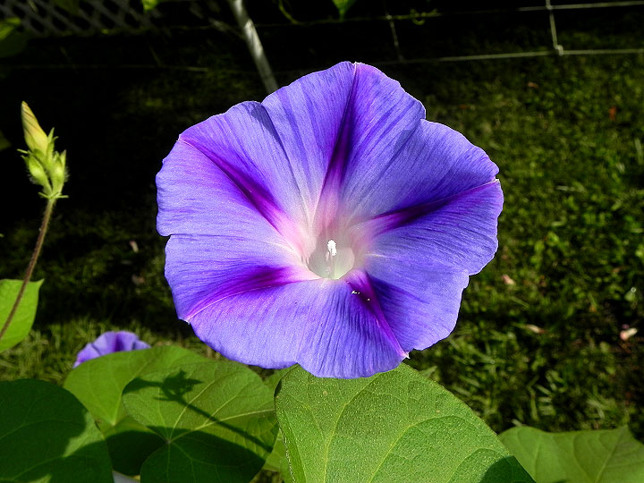 DSCN4514