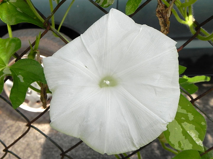 DSCN4553_01