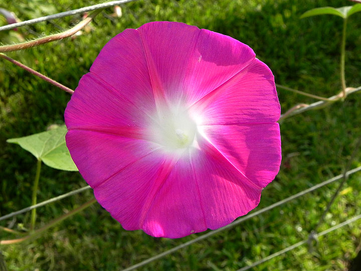 DSCN4561_01