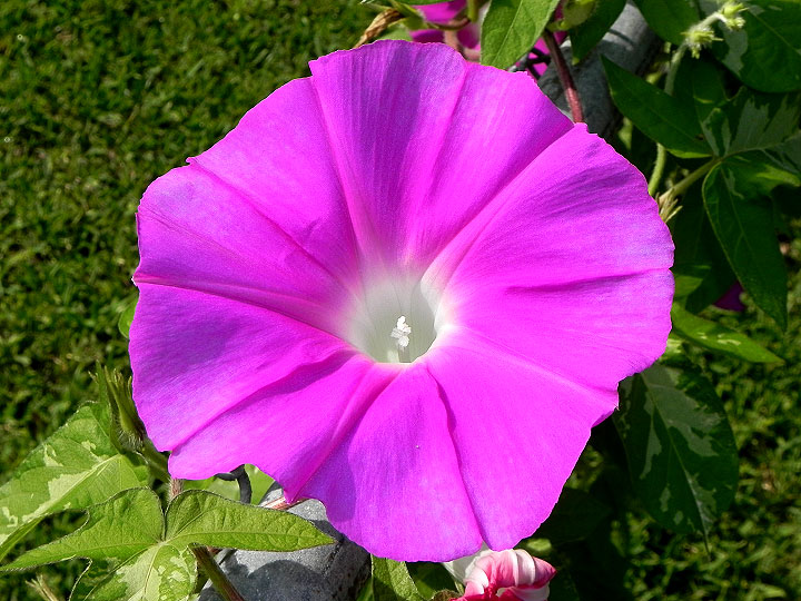 DSCN4583
