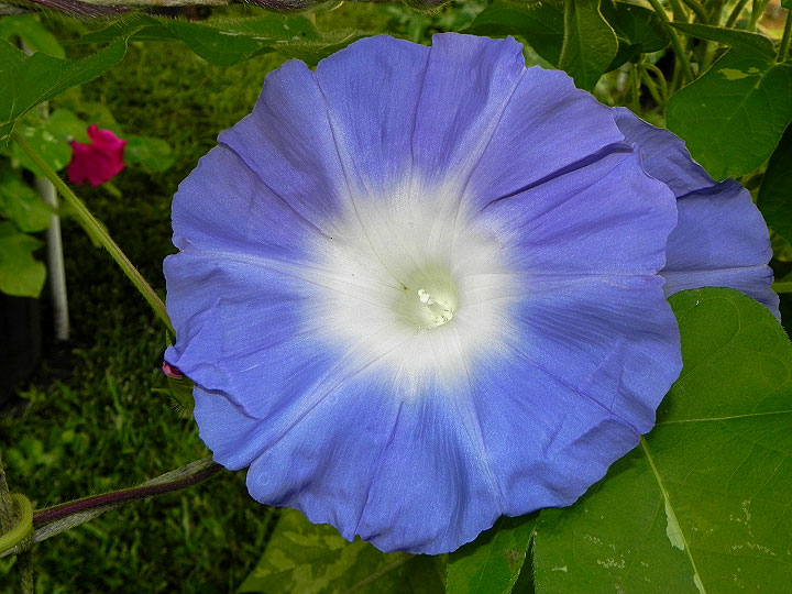 DSCN4656_01