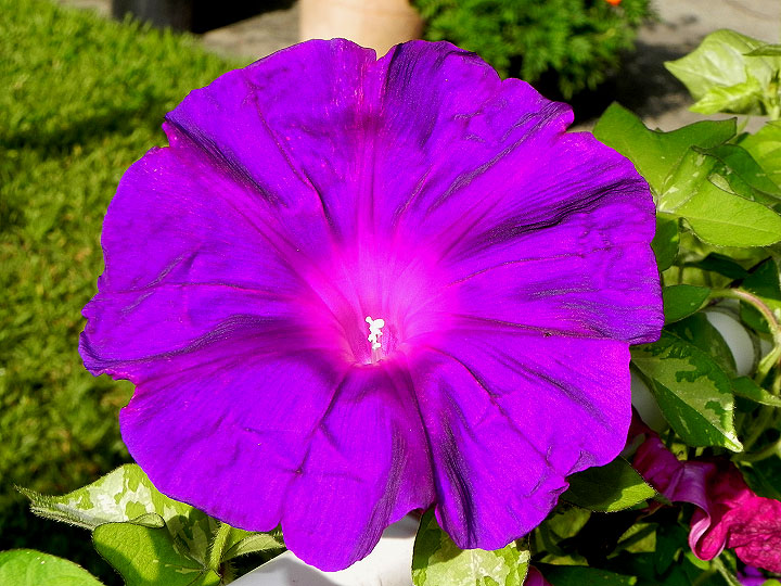 DSCN4707