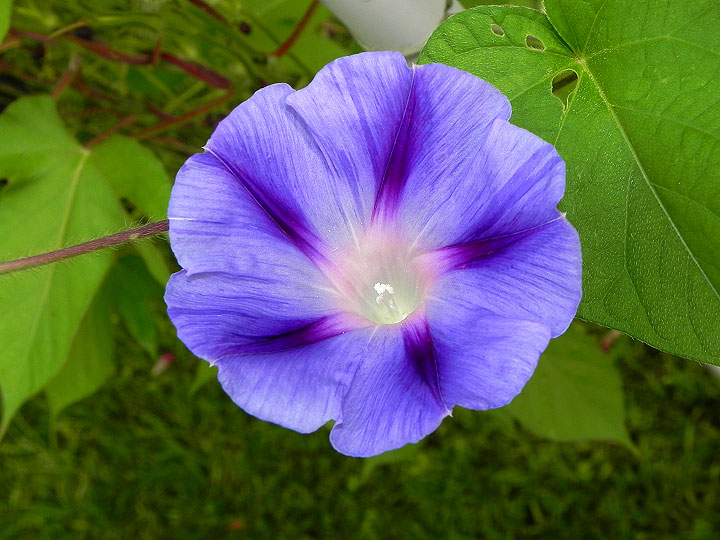 DSCN4711