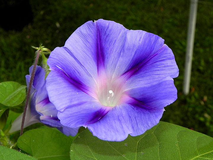 DSCN4712