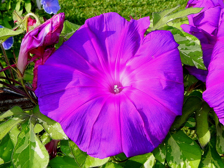 DSCN4773