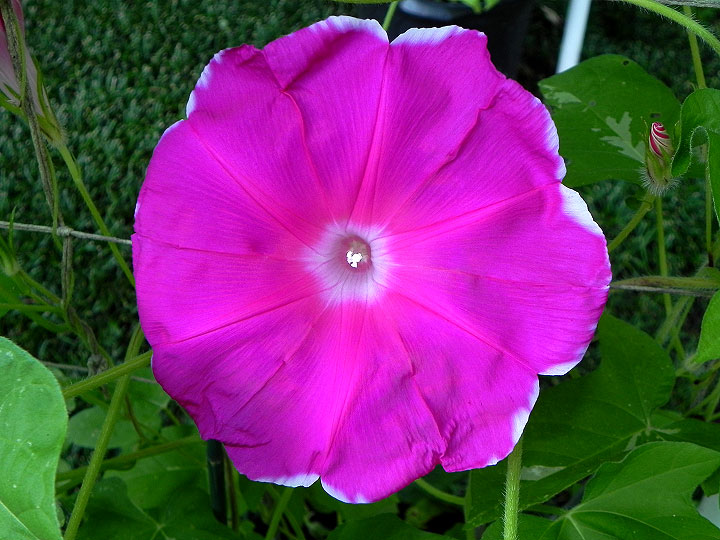DSCN4864