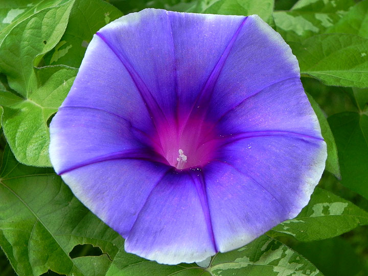 DSCN4870