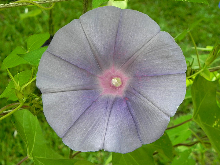 DSCN4878