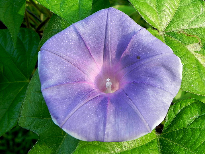 DSCN4894
