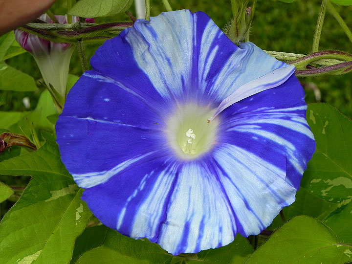 DSCN4906