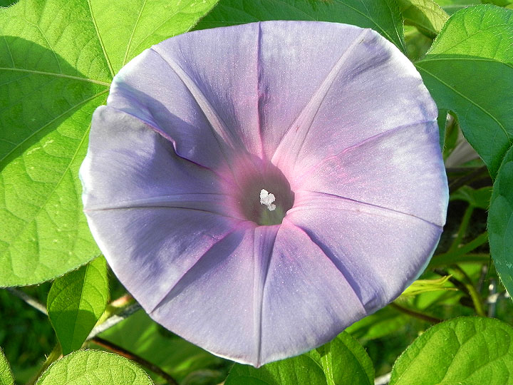 DSCN4928_01