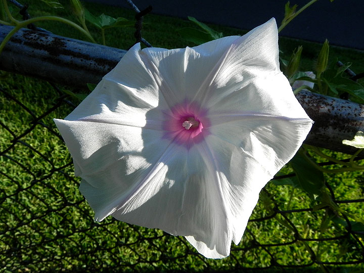 DSCN4974_01