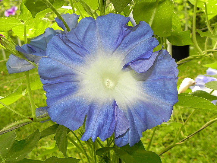 DSCN5003