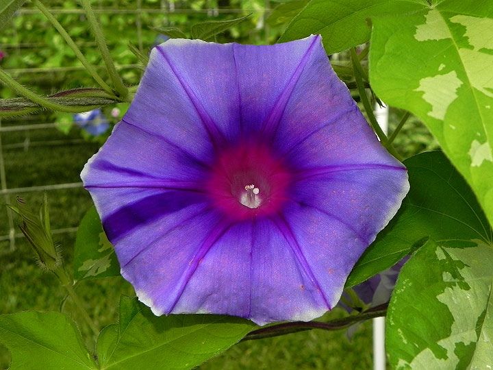 DSCN5018