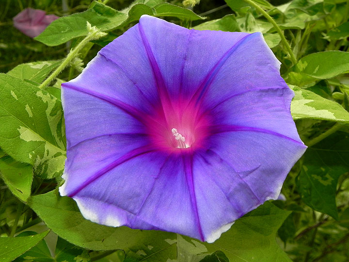 DSCN5019