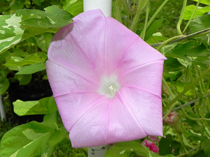 DSCN5029_01