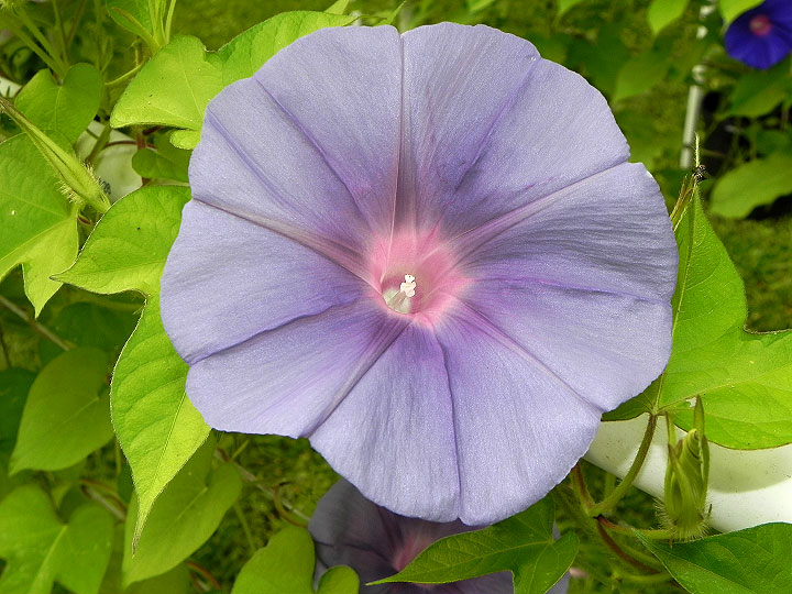 DSCN5033_01