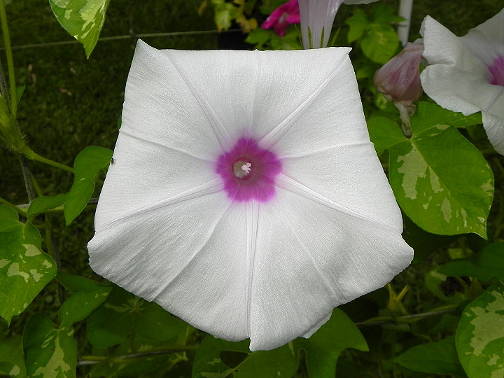 DSCN5044_02