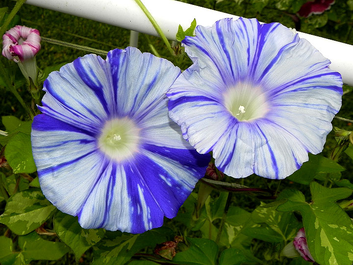 DSCN5050_01