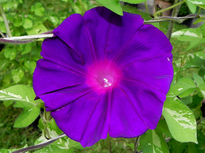DSCN5059_01