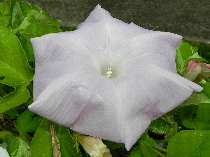DSCN5103_01