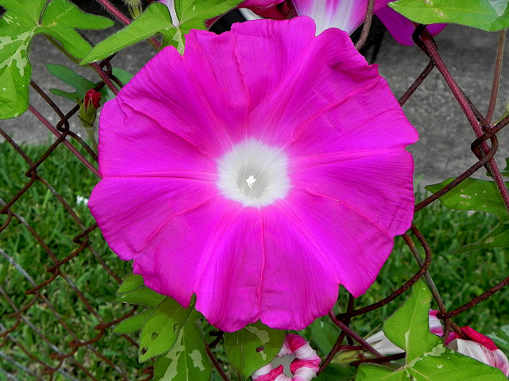 DSCN5105_01