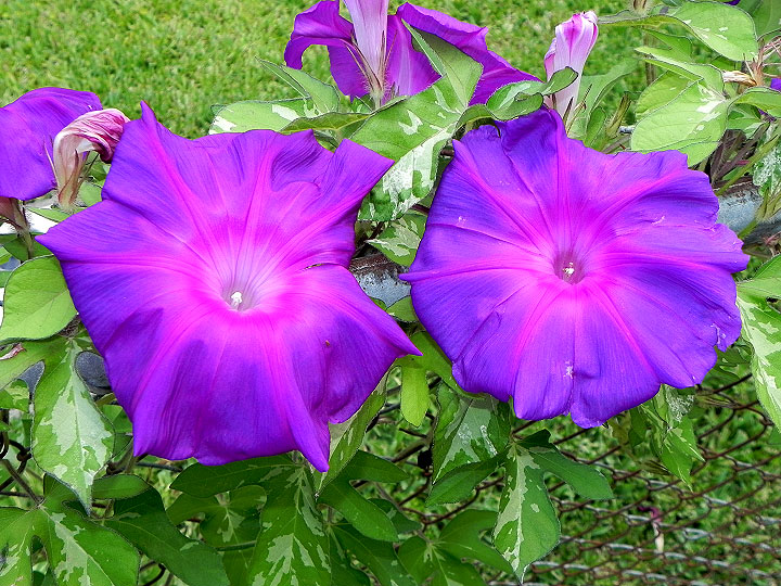 DSCN5108_01
