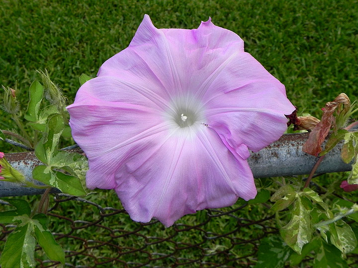 DSCN5110_01