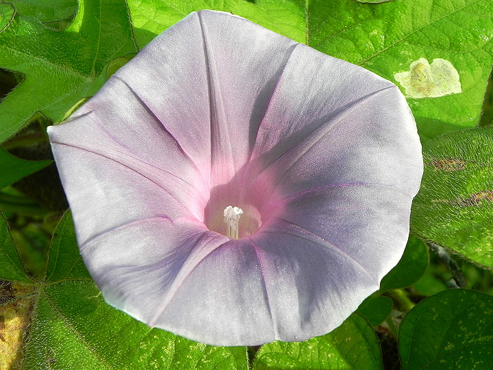 DSCN5136_01