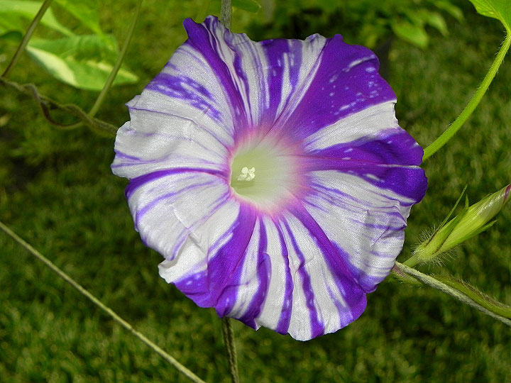 DSCN5166