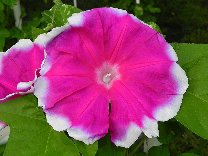 DSCN5168_01