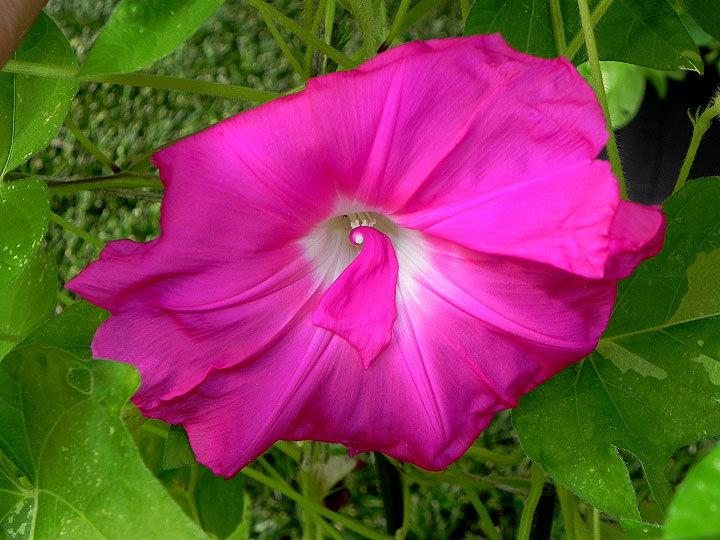 DSCN5172_01