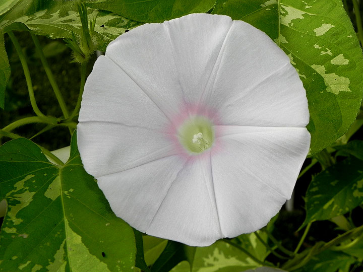 DSCN5179_01