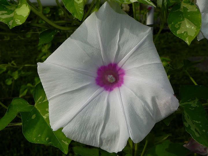 DSCN5214_01
