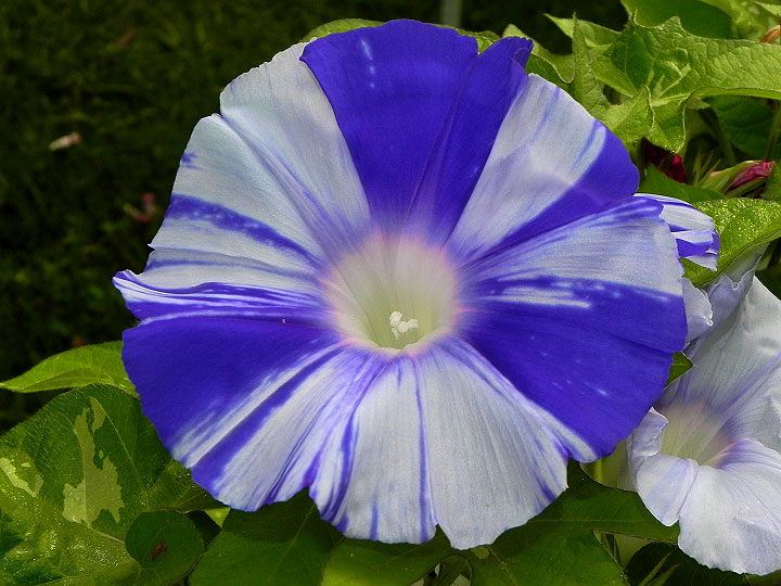DSCN5221