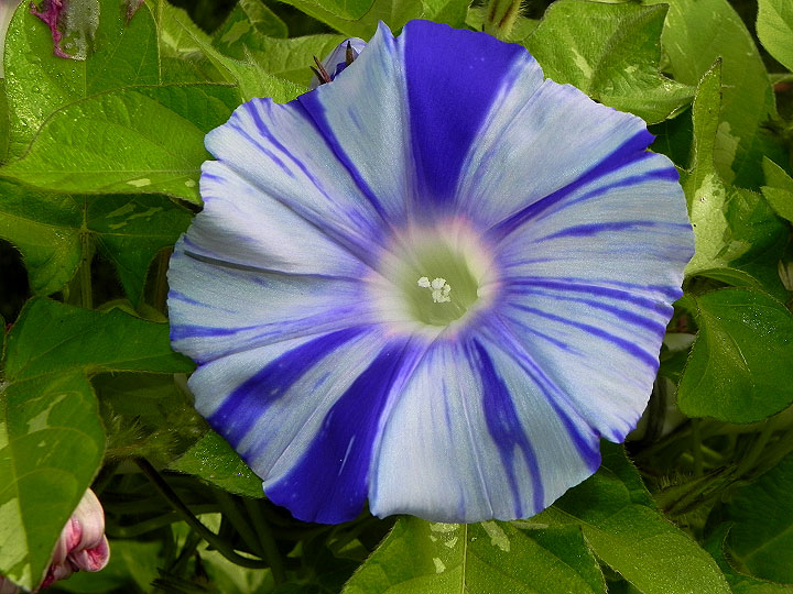 DSCN5222
