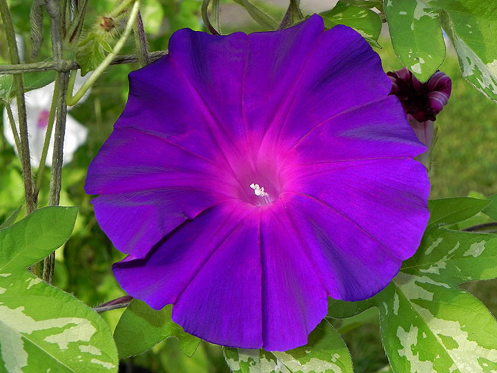 DSCN5228