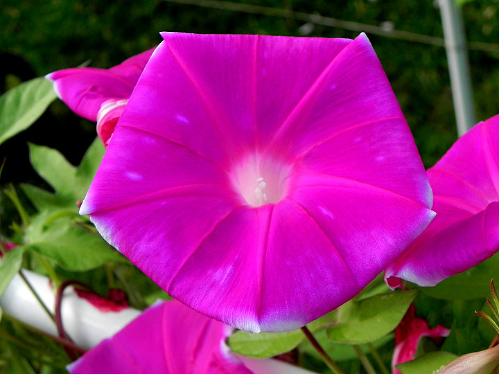 DSCN5234