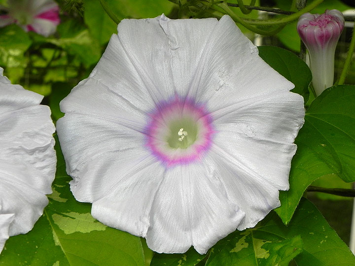 DSCN5340
