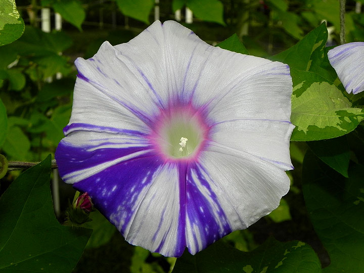 DSCN5341