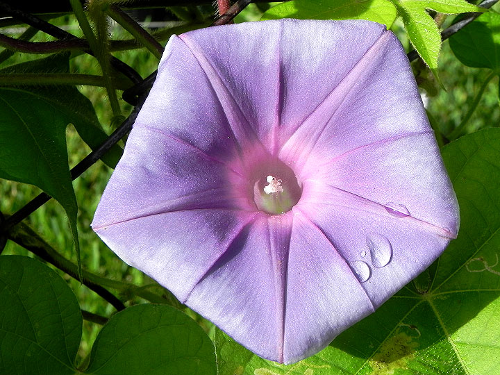 DSCN5341