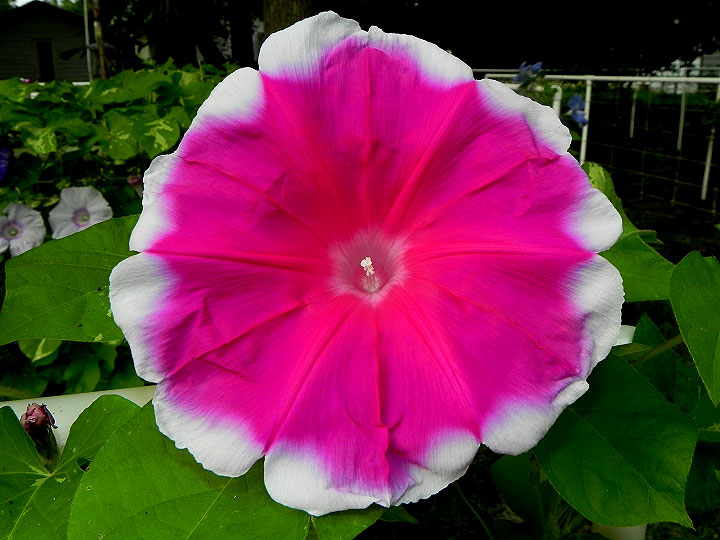 DSCN5347_01
