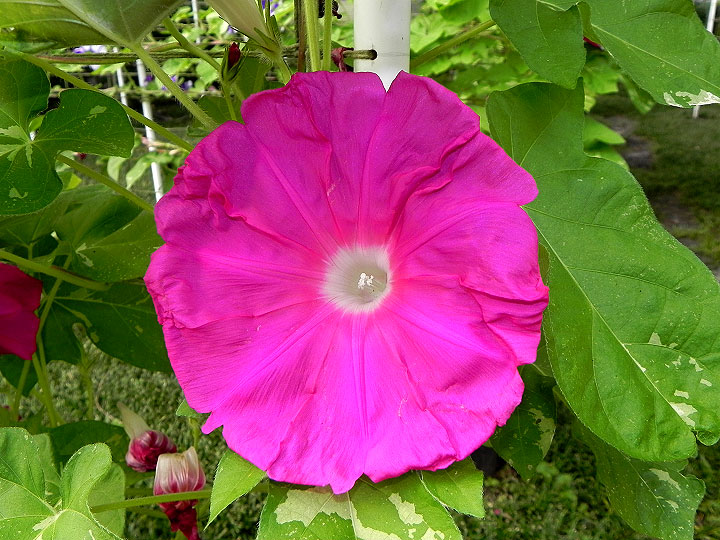 DSCN5349_02