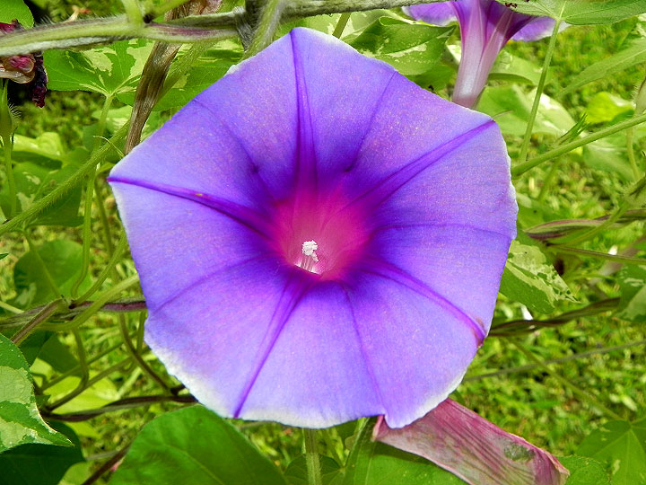 DSCN5364_01