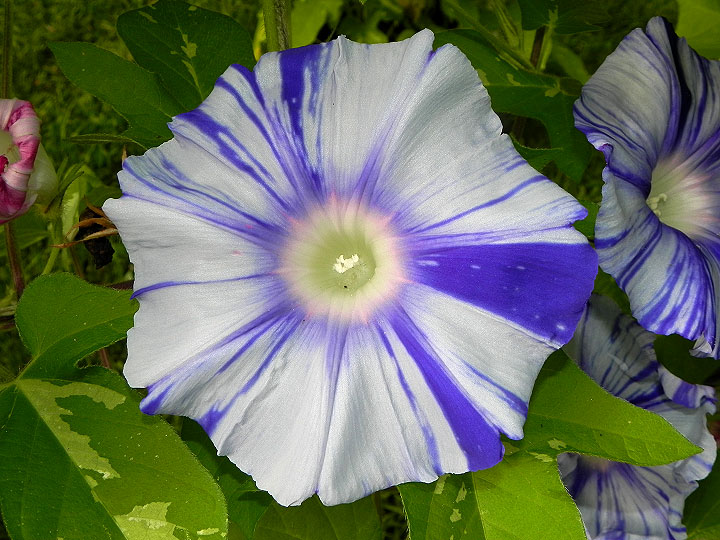 DSCN5399