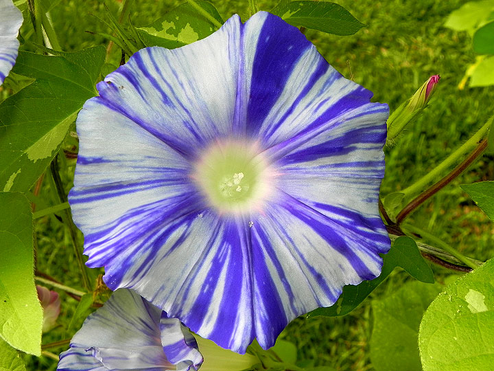DSCN5400