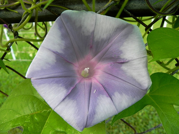 DSCN5400