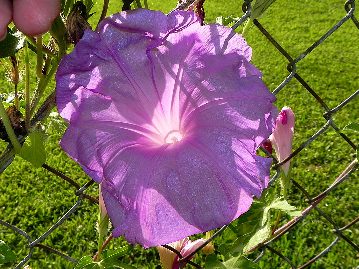 DSCN5474