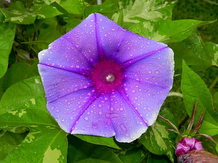DSCN5512